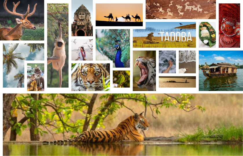 Tadoba - 2N
