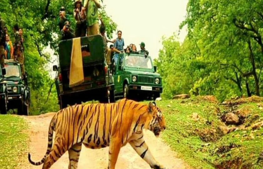 Pench National Park - 2N