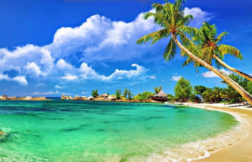 Lakshadweep - Mumbai - At Sea - Kochi - Lakshadweep  - At Sea -  Mumbai